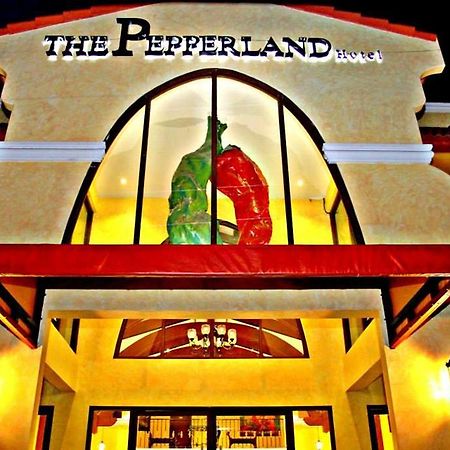 The Pepperland Hotel 레가스피 외부 사진